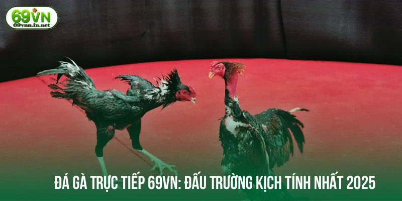 Đá gà trực tiếp