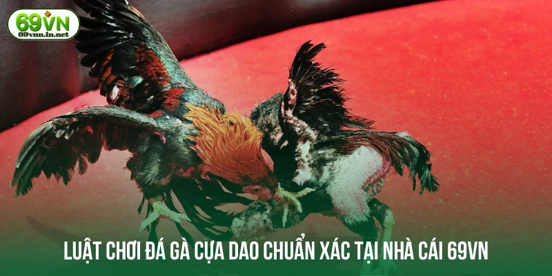 Luật chơi đá gà cựa dao chuẩn xác tại nhà cái 69VN